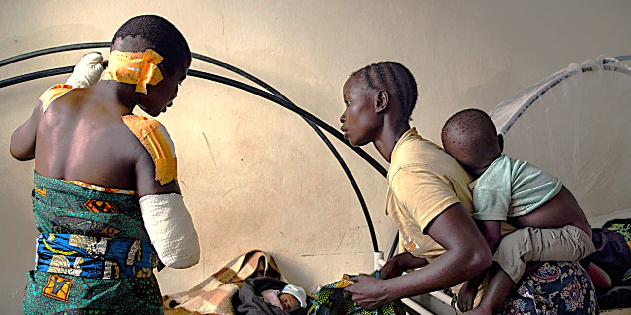 Special Report: The Economics of Extinction in the Kivus, DRC