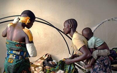 Special Report: The Economics of Extinction in the Kivus, DRC