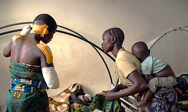 Special Report: The Economics of Extinction in the Kivus, DRC