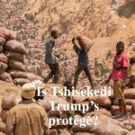 Is Tshisekedi Trump’s protégé? (1)