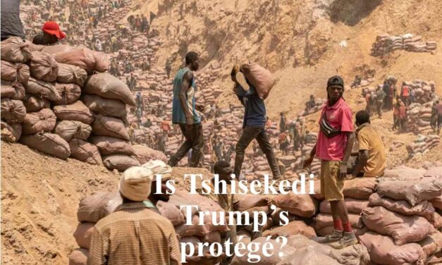 Is Tshisekedi Trump’s protégé? (1)