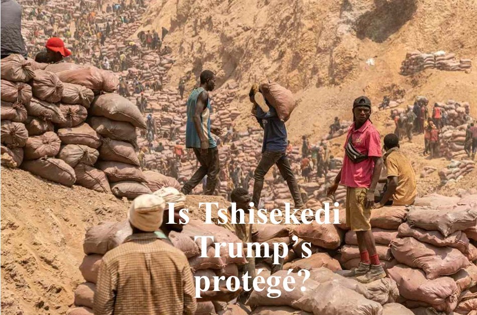 Is Tshisekedi Trump’s protégé? (1)